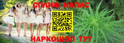 индика Славянск-на-Кубани