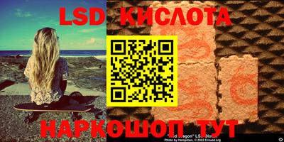 винт Сланцы