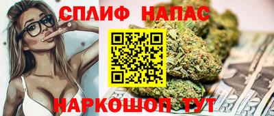 винт Сланцы