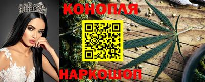 твердый Славгород