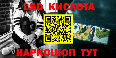 винт Сланцы