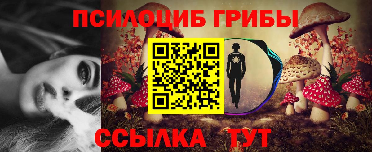 Псилоцибиновые грибы мицелий Октябрьский
