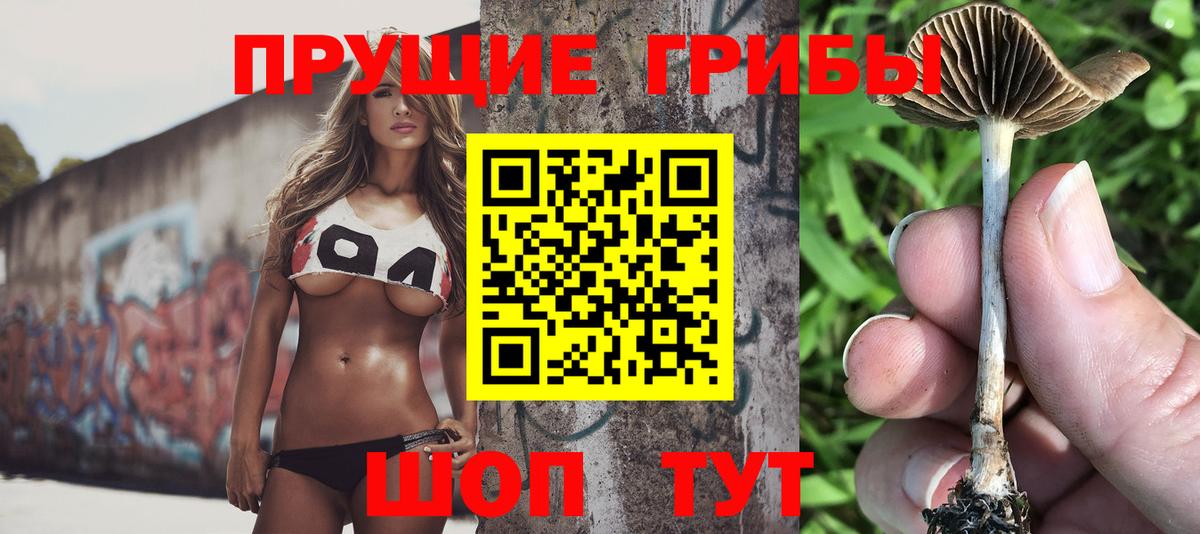 Октябрьский  Галлюциногенные грибы Psilocybe  Вход с VPN 